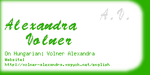 alexandra volner business card